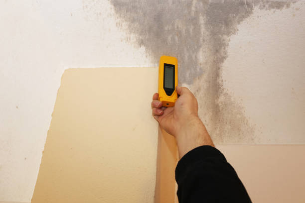 Best Mold Prevention Services  in Laurel Springs, NJ