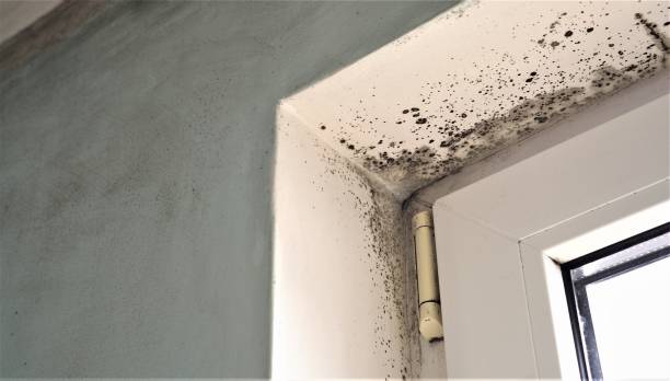 Dehumidification Services in Laurel Springs, NJ