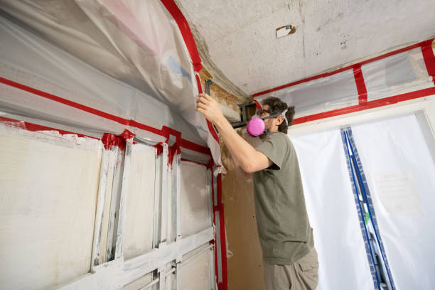 Best Emergency Mold Remediation  in Laurel Springs, NJ