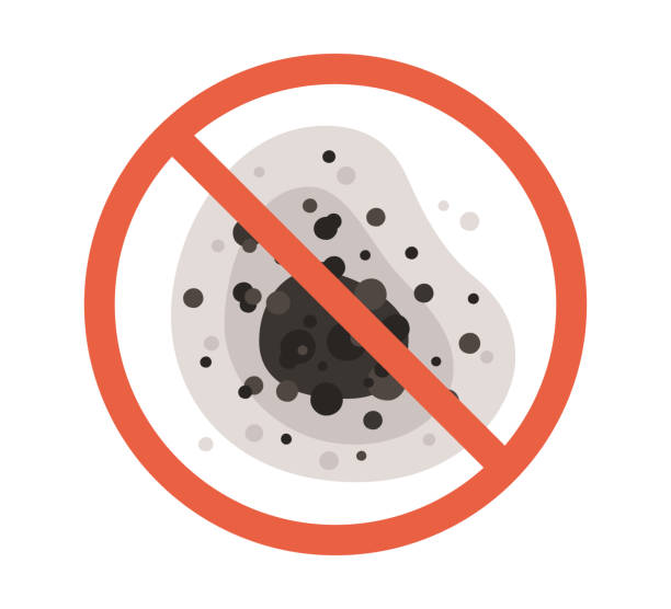 Best Mold-Related Health Consultation  in Laurel Springs, NJ