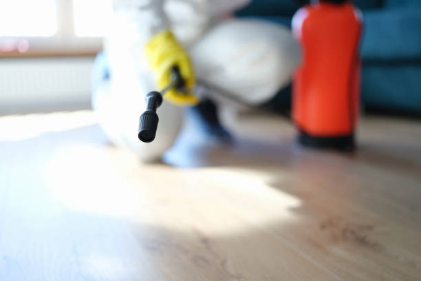 Best Real Estate Mold Inspection  in Laurel Springs, NJ