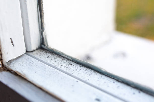 Best HVAC Mold Inspection and Cleaning  in Laurel Springs, NJ