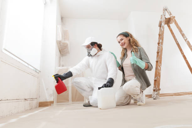 Best Environmental Consulting for Mold Prevention  in Laurel Springs, NJ