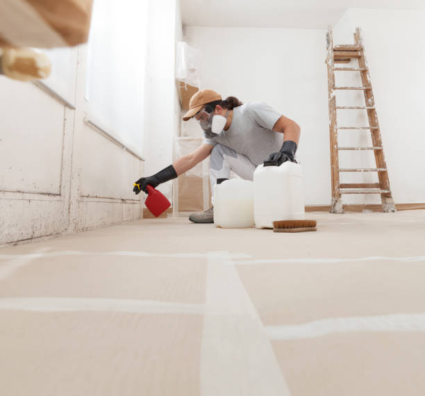 Best Residential Mold Inspection & Testing  in Laurel Springs, NJ