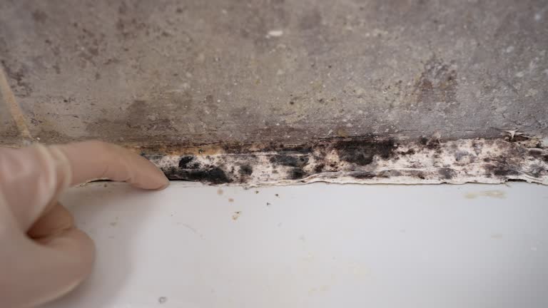 Best Indoor Air Quality Assessment  in Laurel Springs, NJ